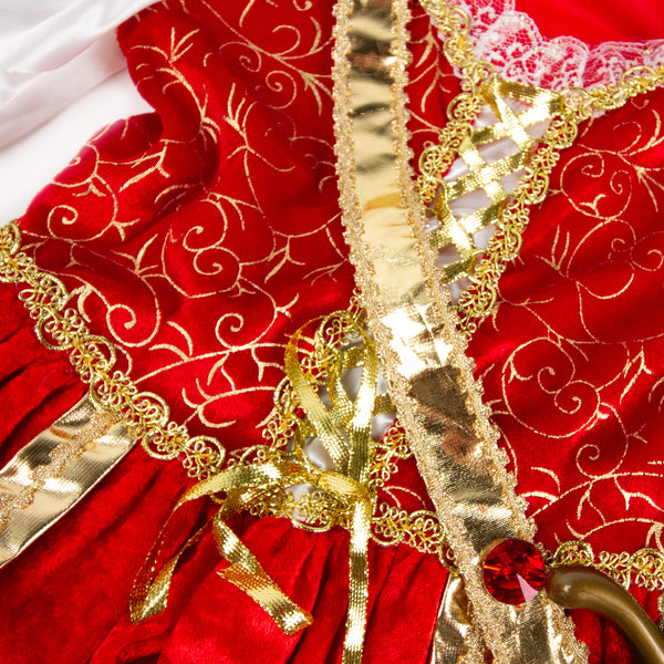 Pirate Princess Costume with Skull and Crossbones Lace