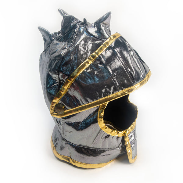 Knight in Shining Armor Costume