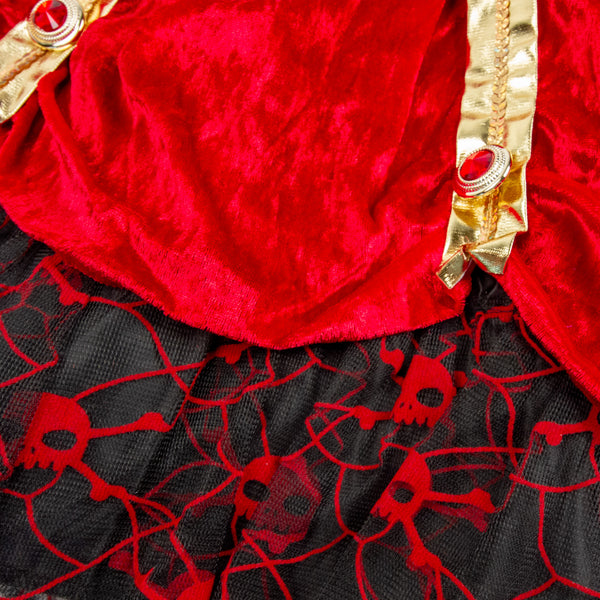 Pirate Princess Costume