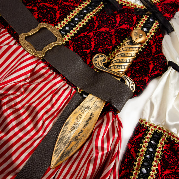 Pirate Queen Costume