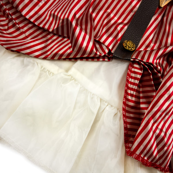 Pirate Queen Costume