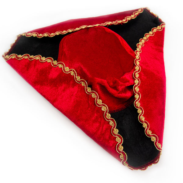 Pirate Queen Costume