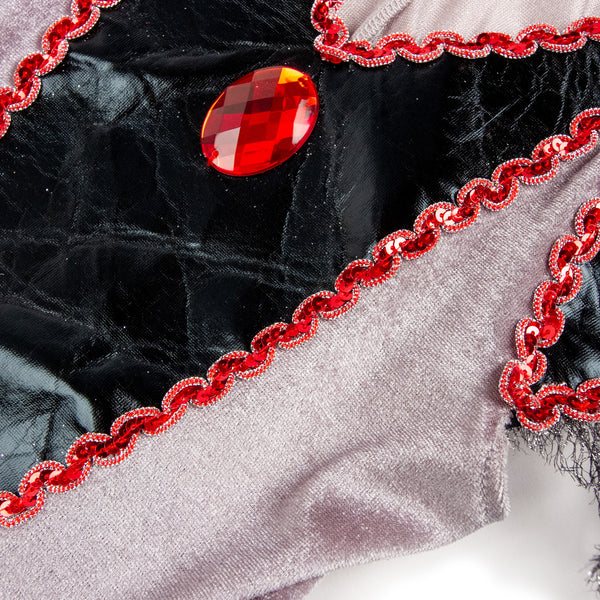 Evil Queen Costume