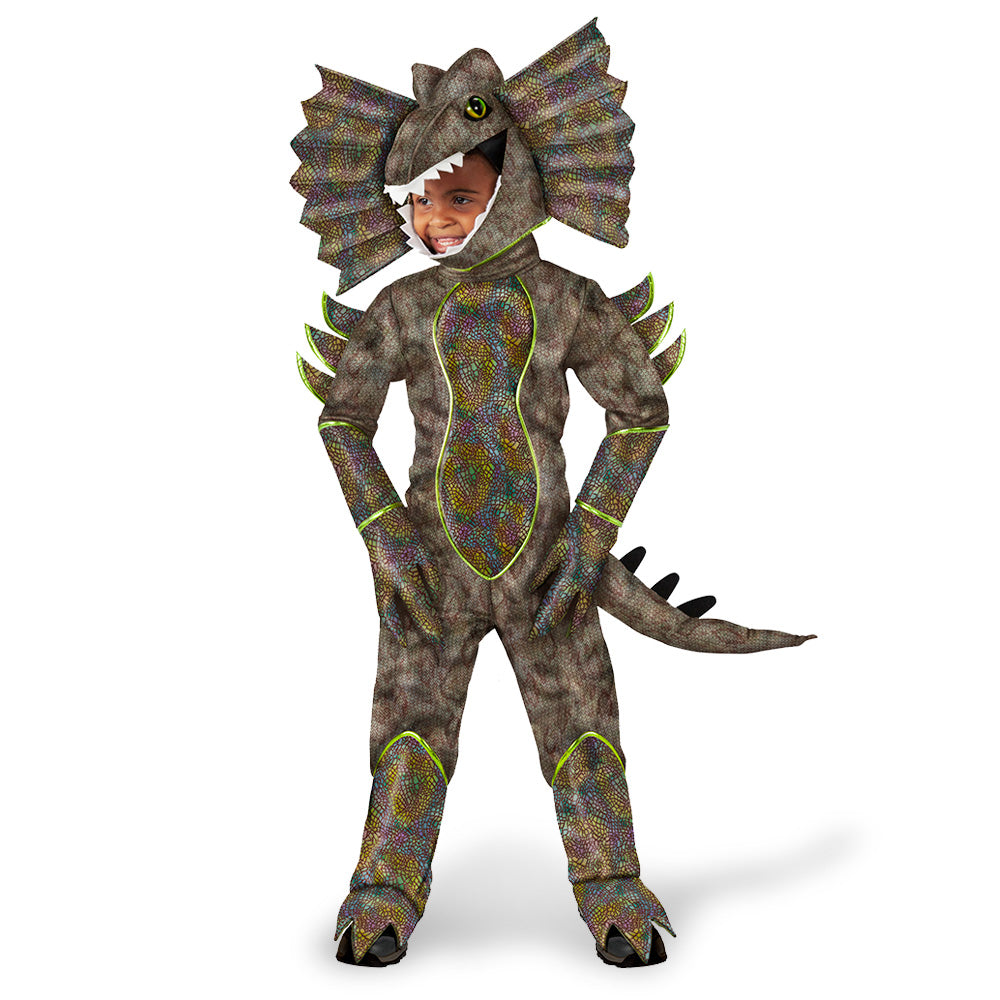 Dinosaur Costume NEW