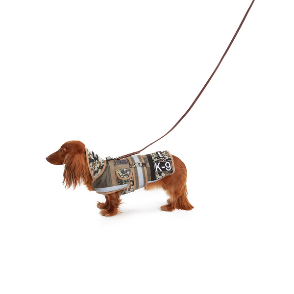 AnimalCamp™ Special Forces Dog Costume